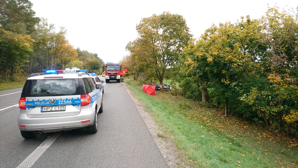 Tragiczny wypadek drogowy na krajowej 2 Apel policjantów o