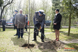 Uroczystości posadzenia Dębu Pamięci Aspiranta Aleksandra Rozbickiego