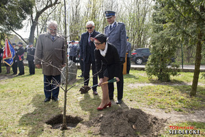 Uroczystości posadzenia Dębu Pamięci Aspiranta Aleksandra Rozbickiego