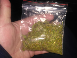 Marihuana zabezpieczona przez policjantów