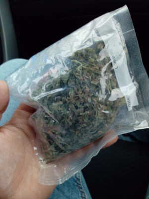 Marihuana zabezpieczona w czasie działań policjantów