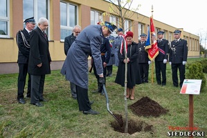 Uroczysty apel z okazji posadzenia Dębu Pamięci